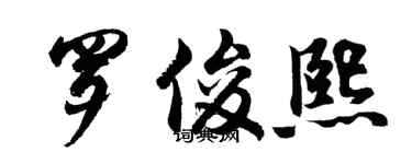 胡问遂罗俊熙行书个性签名怎么写