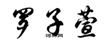 胡问遂罗子萱行书个性签名怎么写