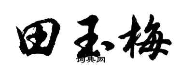 胡问遂田玉梅行书个性签名怎么写