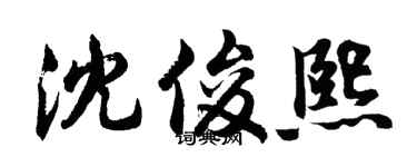 胡问遂沈俊熙行书个性签名怎么写