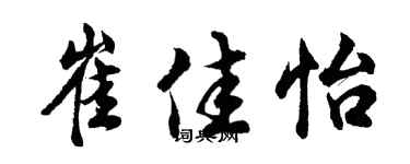 胡问遂崔佳怡行书个性签名怎么写