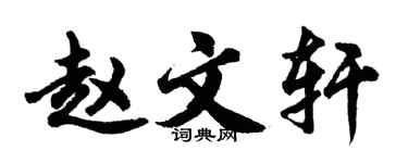 胡问遂赵文轩行书个性签名怎么写