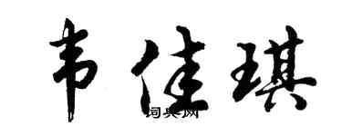 胡问遂韦佳琪行书个性签名怎么写