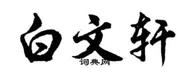 胡问遂白文轩行书个性签名怎么写