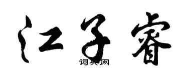 胡问遂江子睿行书个性签名怎么写