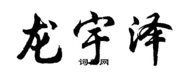 胡问遂龙宇泽行书个性签名怎么写