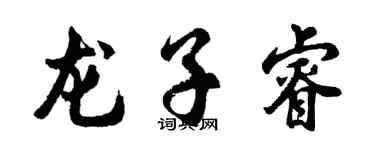 胡问遂龙子睿行书个性签名怎么写