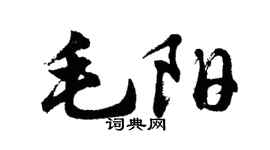 胡问遂毛阳行书个性签名怎么写