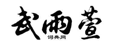 胡问遂武雨萱行书个性签名怎么写