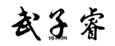 胡问遂武子睿行书个性签名怎么写