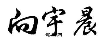 胡问遂向宇晨行书个性签名怎么写