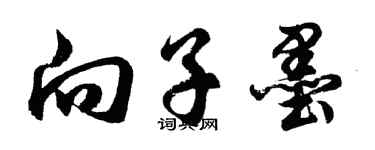 胡问遂向子墨行书个性签名怎么写