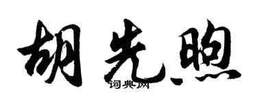 胡问遂胡先煦行书个性签名怎么写