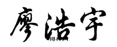 胡问遂廖浩宇行书个性签名怎么写