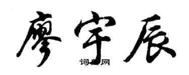 胡问遂廖宇辰行书个性签名怎么写