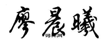 胡问遂廖晨曦行书个性签名怎么写