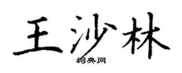 丁谦王沙林楷书个性签名怎么写