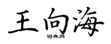 丁谦王向海楷书个性签名怎么写