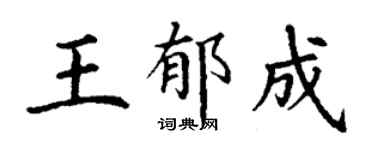 丁谦王郁成楷书个性签名怎么写