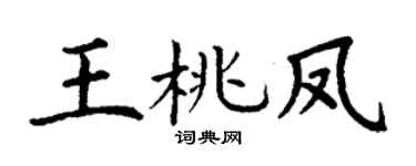 丁谦王桃凤楷书个性签名怎么写