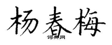 丁谦杨春梅楷书个性签名怎么写