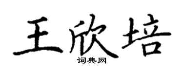 丁谦王欣培楷书个性签名怎么写