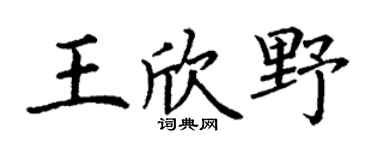 丁谦王欣野楷书个性签名怎么写