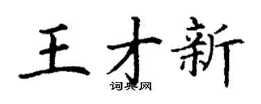 丁谦王才新楷书个性签名怎么写