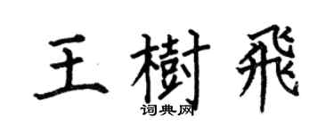 何伯昌王树飞楷书个性签名怎么写