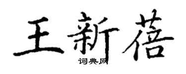 丁谦王新蓓楷书个性签名怎么写