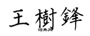 何伯昌王树锋楷书个性签名怎么写