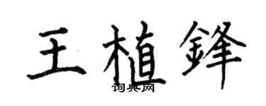 何伯昌王植锋楷书个性签名怎么写