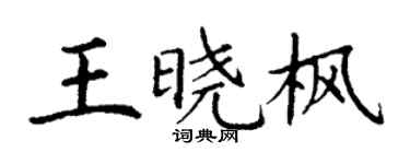 丁谦王晓枫楷书个性签名怎么写