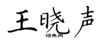 丁谦王晓声楷书个性签名怎么写