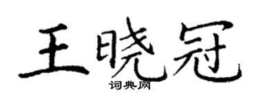 丁谦王晓冠楷书个性签名怎么写