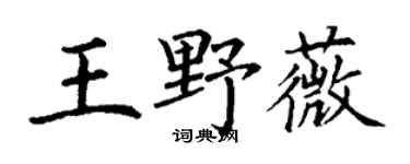 丁谦王野薇楷书个性签名怎么写