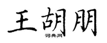 丁谦王胡朋楷书个性签名怎么写