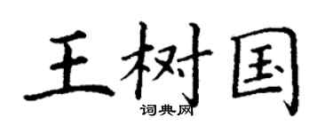 丁谦王树国楷书个性签名怎么写