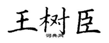 丁谦王树臣楷书个性签名怎么写