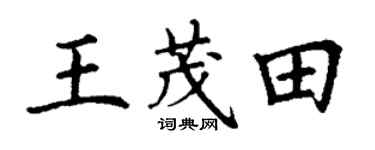 丁谦王茂田楷书个性签名怎么写