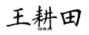 丁谦王耕田楷书个性签名怎么写