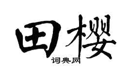 翁闿运田樱楷书个性签名怎么写