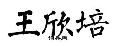 翁闿运王欣培楷书个性签名怎么写
