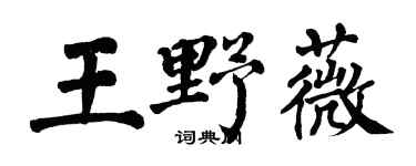 翁闿运王野薇楷书个性签名怎么写