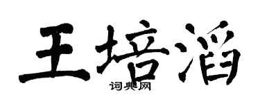 翁闿运王培滔楷书个性签名怎么写