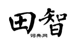 翁闿运田智楷书个性签名怎么写