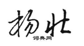 骆恒光杨壮草书个性签名怎么写