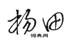 骆恒光杨田草书个性签名怎么写