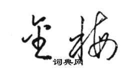 骆恒光金梅草书个性签名怎么写