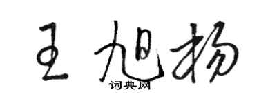骆恒光王旭杨草书个性签名怎么写